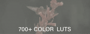CINEPUNCH - Transitions I Color LUTs I Pro Sound FX I 9999+ VFX Elements Bundle - 14